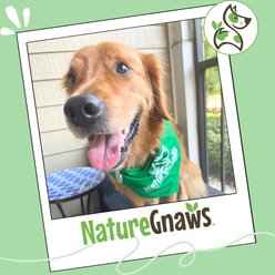 Nature Gnaws Beef Tendon Wraps Dog Chew Treats, 5 count slide 2 of 8