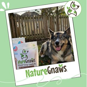 Nature Gnaws USA Turkey Rings Natural Dog Chew Treats, 8-oz bag