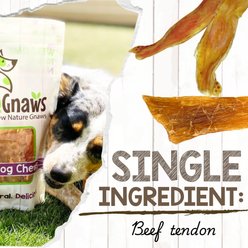 Nature Gnaws Beef Tendons Natural Dog Chew Treats, 1-lb bag slide 2 of 8