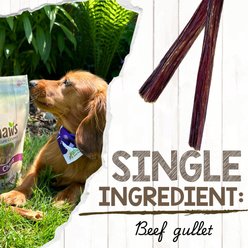 Nature Gnaws 5 to 6-in Beef Gullet Sticks Natural Dog Chew Treats, 1-lb bag slide 2 of 8