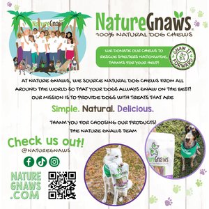 Nature Gnaws 7 to 8-in Spring Bully Sticks Dog Chew Treats, 6 count