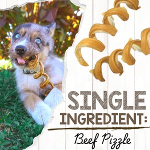 Nature Gnaws 7 to 8-in Spring Bully Sticks Dog Chew Treats, 6 count