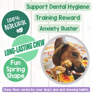 Nature Gnaws 7 to 8-in Spring Bully Sticks Dog Chew Treats, 6 count