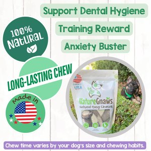 Nature Gnaws 5 to 8-in USA Elk Antler Natural Dog Chew Treats, 3 count