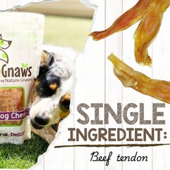 Nature Gnaws 4 to 5-in Beef Tendon Natural Dog Chew Treats, 12 count slide 2 of 8