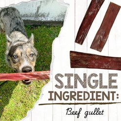 Nature Gnaws 9 to 10-in Beef Gullet Natural Dog Chew Treats, 20 count slide 2 of 8