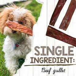 Nature Gnaws 4 to 5-in Beef Gullet Natural Dog Chew Treats, 20 count slide 2 of 8