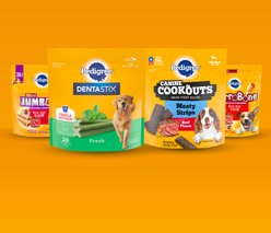 Pedigree Mini Jumbone Real Beef Flavor Dog Treats, 12 count slide 2 of 9