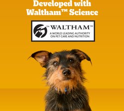 Pedigree Marrobone Real Beef Flavor Biscuit Dog Treats, 6-lb bag slide 2 of 9