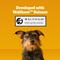 Show in main carousel: Pedigree Dentastix Fresh Mint Flavored Large Dental Dog Treats, 60 count slide 10 of 11