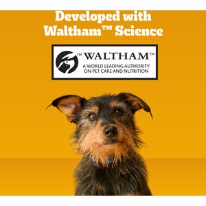 Pedigree Dentastix Large Original Chicken, Beef Flavor & Fresh Mint Flavor Variety Pack Dental Dog Treats, 51 count