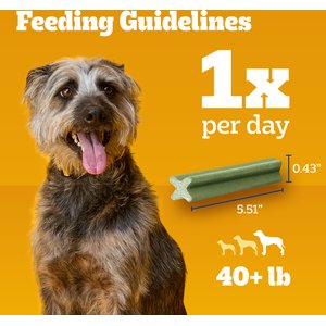 Pedigree Dentastix Fresh Mint Flavored Large Dental Dog Treats, 36 count