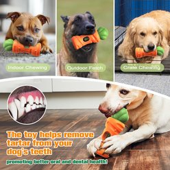 Dudpud 2-in-1 Durable Carrot Bully Stick Holder & Dog Chew Toy, Orange slide 2 of 6