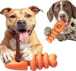 Dudpud 2-in-1 Durable Fish Bone Bully Stick Holder & Dog Chew Toy, Orange