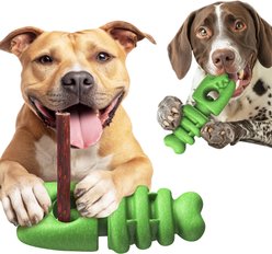 Dudpud 2-in-1 Durable Fish Bone Bully Stick Holder & Dog Chew Toy, Green