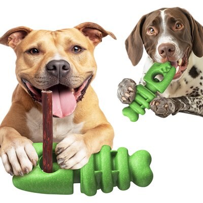 Dudpud Dudpud 2-in-1 Durable Fish Bone Bully Stick Holder & Dog Chew Toy, Green