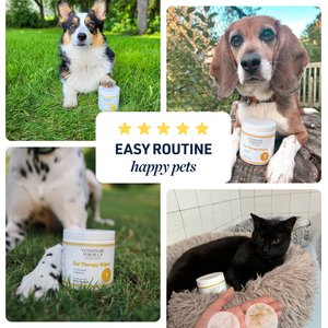 Veterinary Formula Clinical Care Ear Therapy Dog & Cat Ear Wipes, 100 count