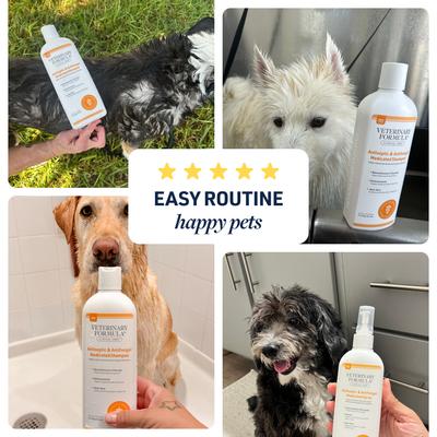 Show full view: Veterinary Formula Clinical Care Antiseptic & Antifungal Medicated Shampoo, 16-oz bottle slide 5 of 11