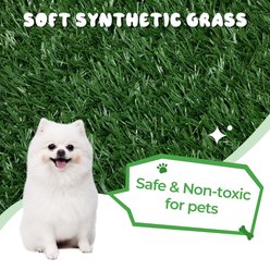 Coziwow Indoor Grass Potty Dog Replacement Mat, Green, 23 x 18 x 3-in, 2 count slide 2 of 6
