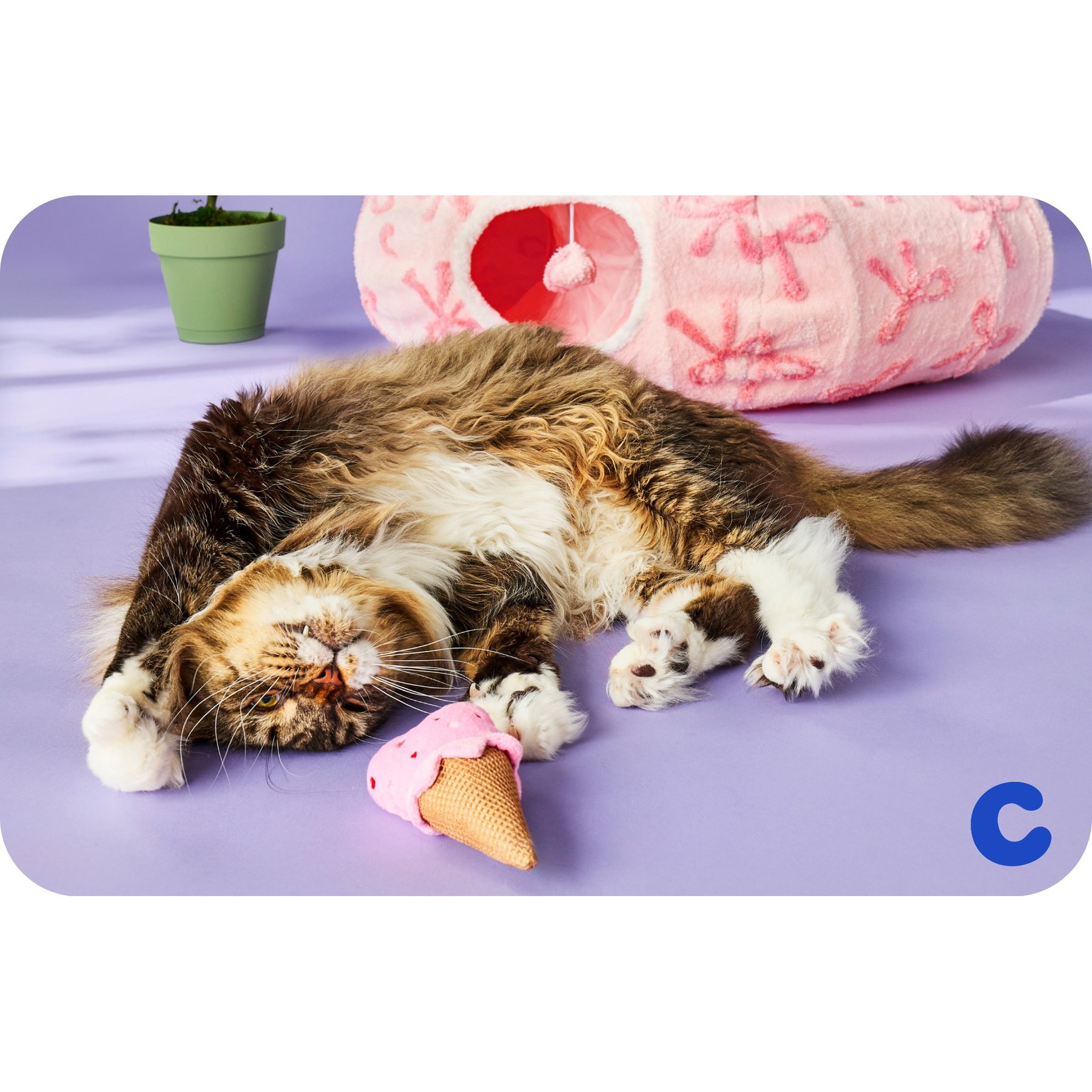 Chewy eGift Card, Cat Joy, $200