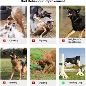 PATPET Ultrasonic Bark Control & Dog Training Device, Red