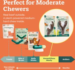 Woof HonestChew Meaty Beef Y-Shaped Plant-based Dog Chew Bone with Meat Covering, Medium slide 2 of 8