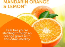 Bright Air Super Odor Eliminator Solid Air Freshener, Mandarin Orange & Fresh Lemon, 14-oz jar, 6 count slide 2 of 8
