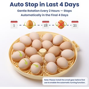 PawsPik Automatic 18 Egg Smart Incubator, Medium