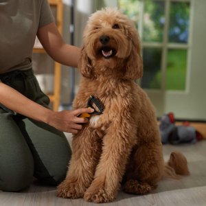 Pet Republique Dematting Tool for Dogs & Cat Rake Style with 6+11 Dual-Side Blades