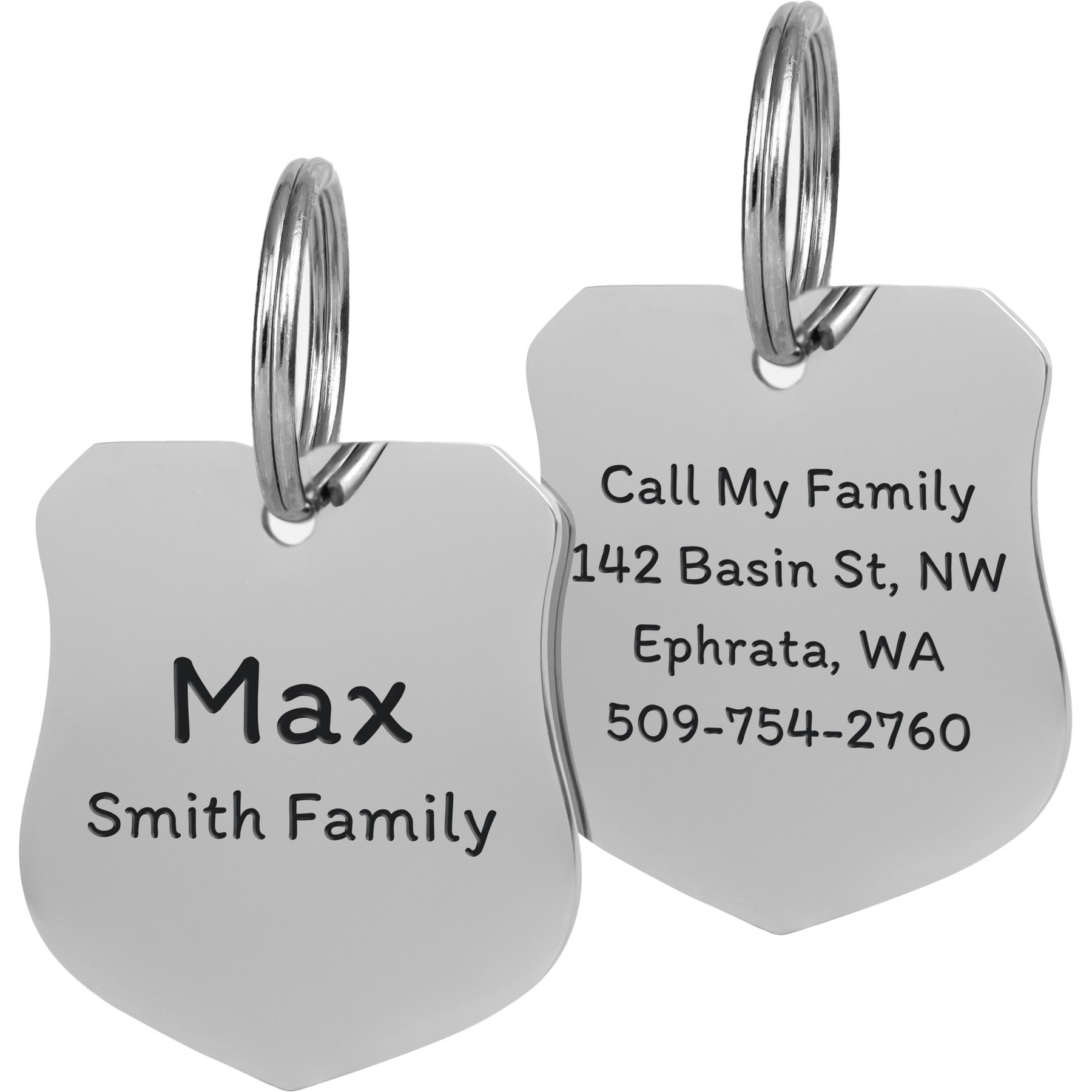 GoTags Badge Personalized Stainless Steel Dog & Cat ID Tag, Silver, Regular
