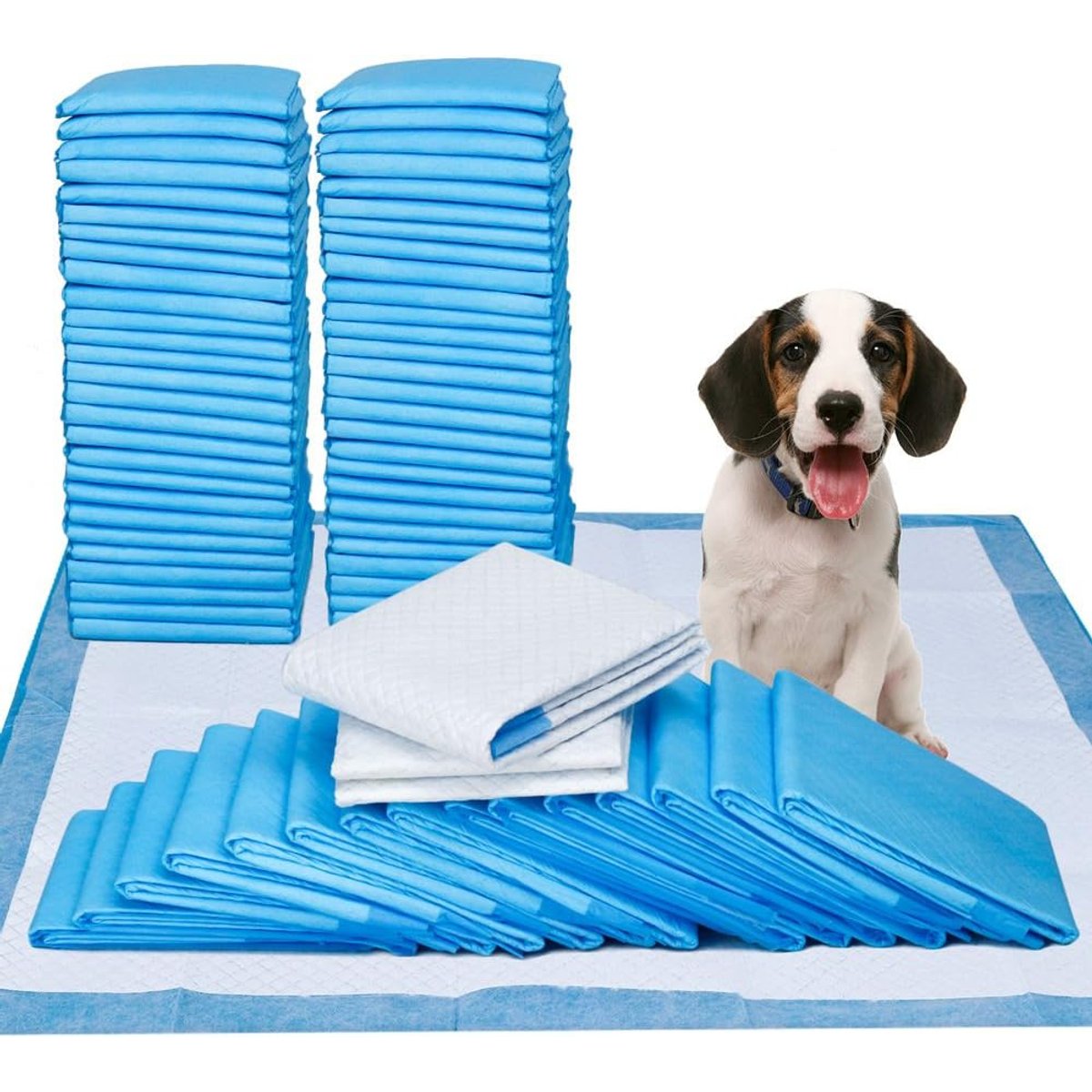 Petfamily Puppy & Dog Training Pads, 100 count, Unscented, 23 x 24-in
