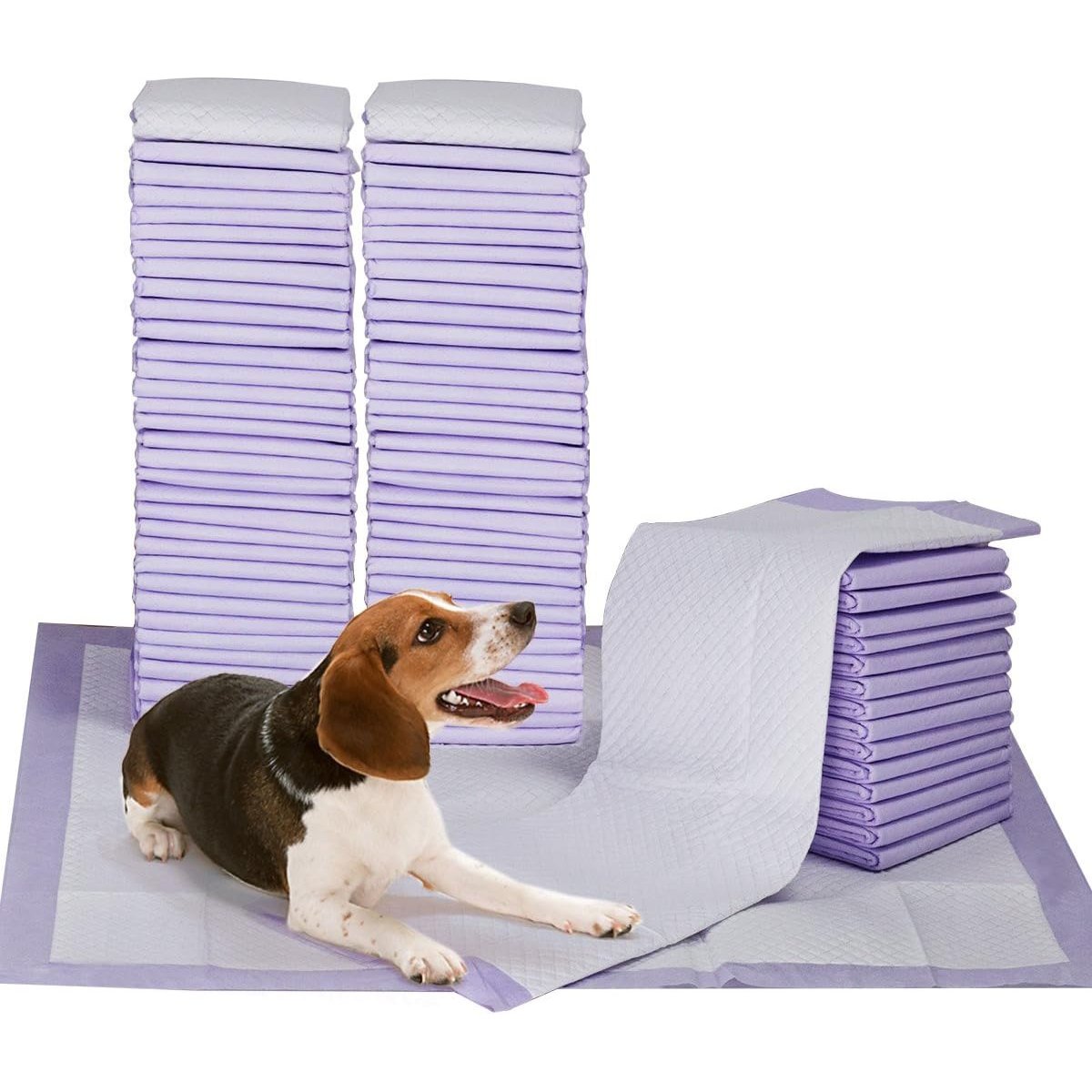 Petfamily Dog Training Pee Pads, 23 x 24-in, 100 count, Lavender Scented