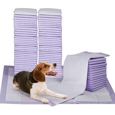 Petfamily Petfamily Dog Training Pee Pads, 23 x 24-in, 100 count, Lavender Scented