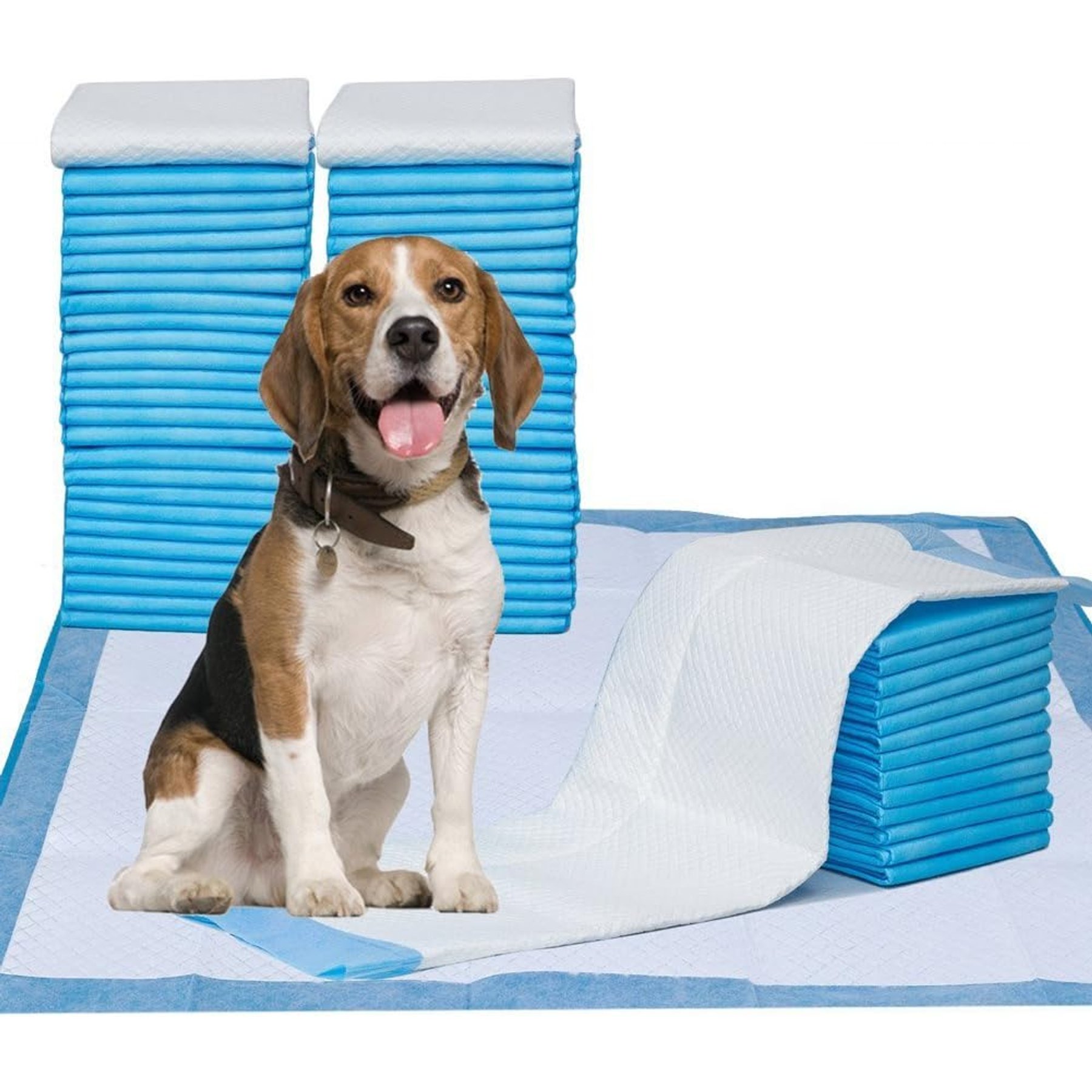 Petfamily Super-Absorbent Dog Training Potty Pee Pads, Unscented, 28 x 34-in, 42 count