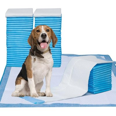 Petfamily Petfamily Super-Absorbent Dog Training Potty Pee Pads, Unscented, 28 x 34-in, 42 count