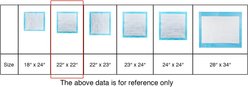 Petfamily Super-Absorbent Dog Training Potty Pee Pads, Unscented, 22 x 22-in, 100 count slide 2 of 7