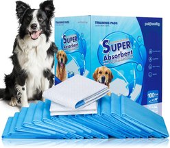 Petfamily Super-Absorbent Dog Training Potty Pee Pads, Unscented, 22 x 22-in, 100 count slide 1 of 7