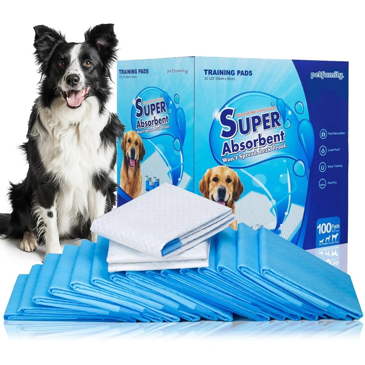 Petfamily Super-Absorbent Dog Training Potty Pee Pads, Unscented, 22 x 22-in, 100 count