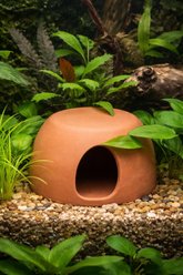 Cobalt Aquatics Cichlid Hut Aquarium Ornament, Large slide 2 of 2