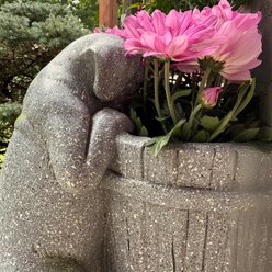 GeoCentral Porch Pups Curious Companion Dog Planter Faux Stone Garden Planter with Drainage Hole Indoor Outdoor Weather Resistant Decor slide 2 of 2