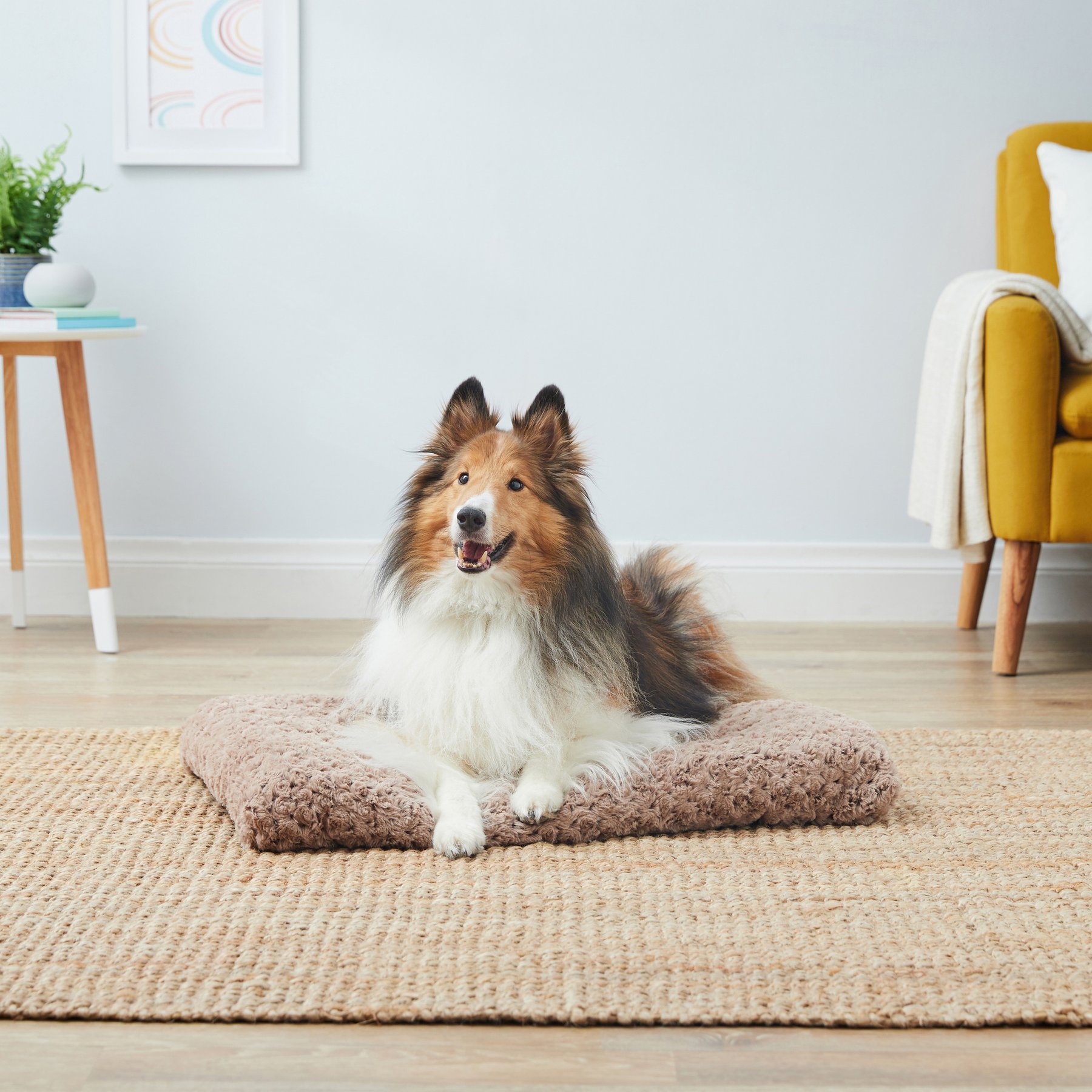 Quiet Time Ombre Swirl Grey Dog & Cat Bed, 30-inch, 26 to 40-lbs