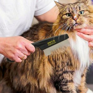 Pet Republique Dog & Cat Flea Comb, Medium