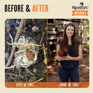 Roosty's Flock Armor Chicken Supplement, 1-lb bag