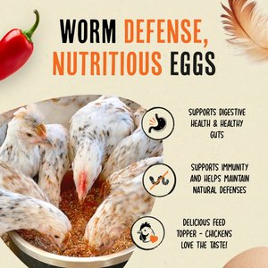Roosty's Flock Armor Chicken Supplement, 1-lb bag