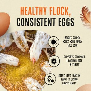 Roosty's Gold Dust Chicken Supplement, 1-lb bag