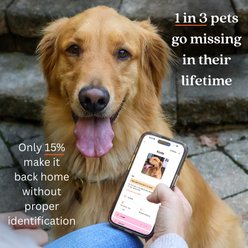 Tailr Hanging QR Code Personalized Dog & Cat ID Tag, Gold, Small slide 2 of 9
