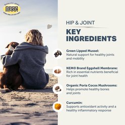 Four Leaf Rover Hip & Joint Mobility Support Flavored Powder Joint Supplement for Dogs, 5.9-oz slide 2 of 9