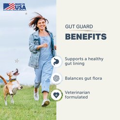 Four Leaf Rover Gut Guard Intestinal Barrier Support Supplement Digestive Health Flavored Powder Digestive Aid for Dogs, 3.7-oz slide 2 of 8