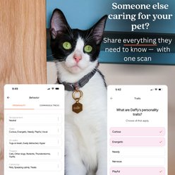 Tailr Slide QR Code Silent Dog & Cat ID Tag, Gold, Medium slide 2 of 7