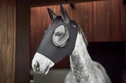 Catago Lycra Horse Insect Mask, Asphalt, X-Full
